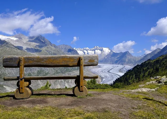 Maxima Hébergement de vacances *