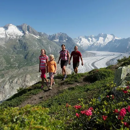 Dom wakacyjny Maxima