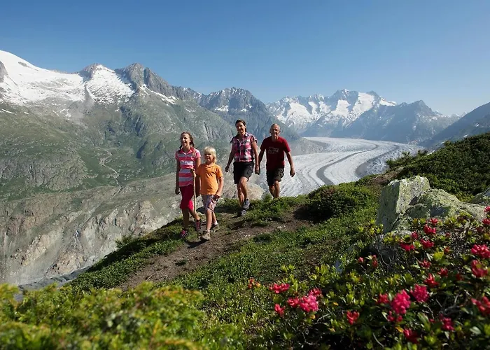 بيت للعطل Maxima